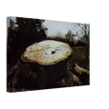 39b419df-385c-4f77-b444-2529fe46ac44