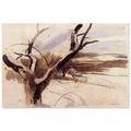 7c192c20-f7cb-4263-8c98-cadeb991f9aa