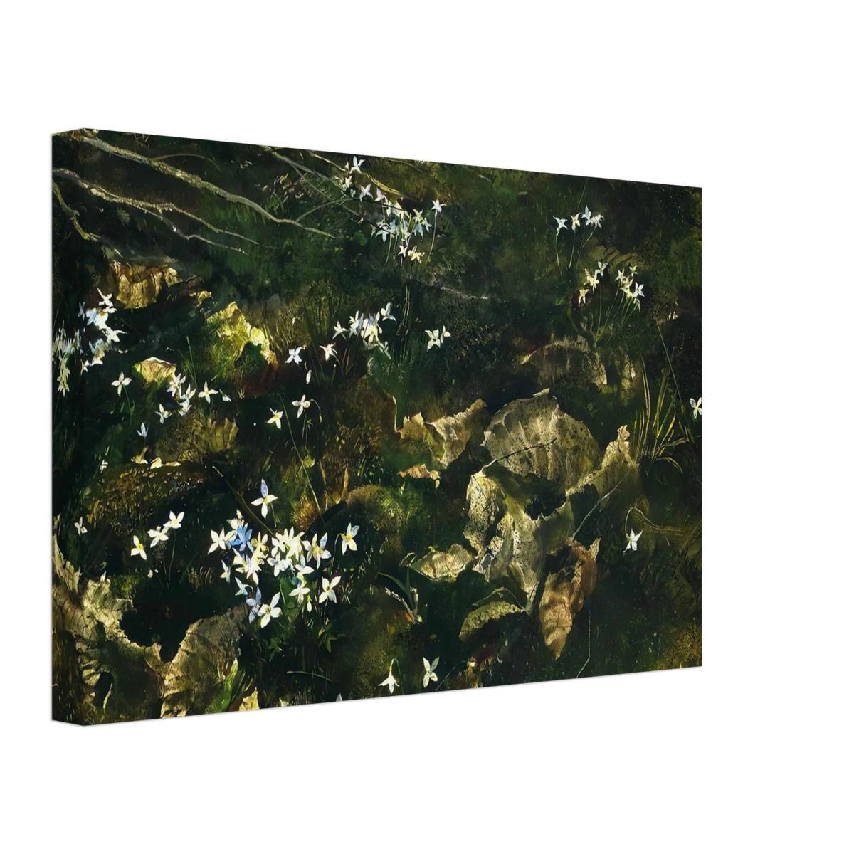 7cc53d4b-2633-47ff-9006-3b1918d7ea89