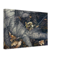 9ba7767b-d717-46ec-bd47-8910623ec858