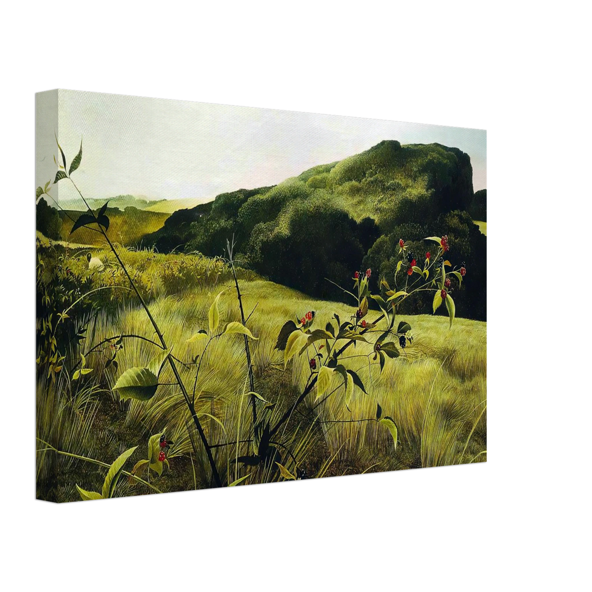 a0f29365-d1a1-426a-b419-3144e0662448