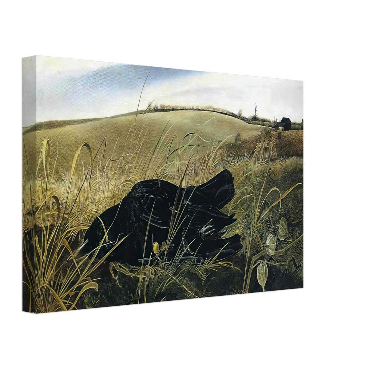 c8308436-c817-4634-93dd-392a09c571bd