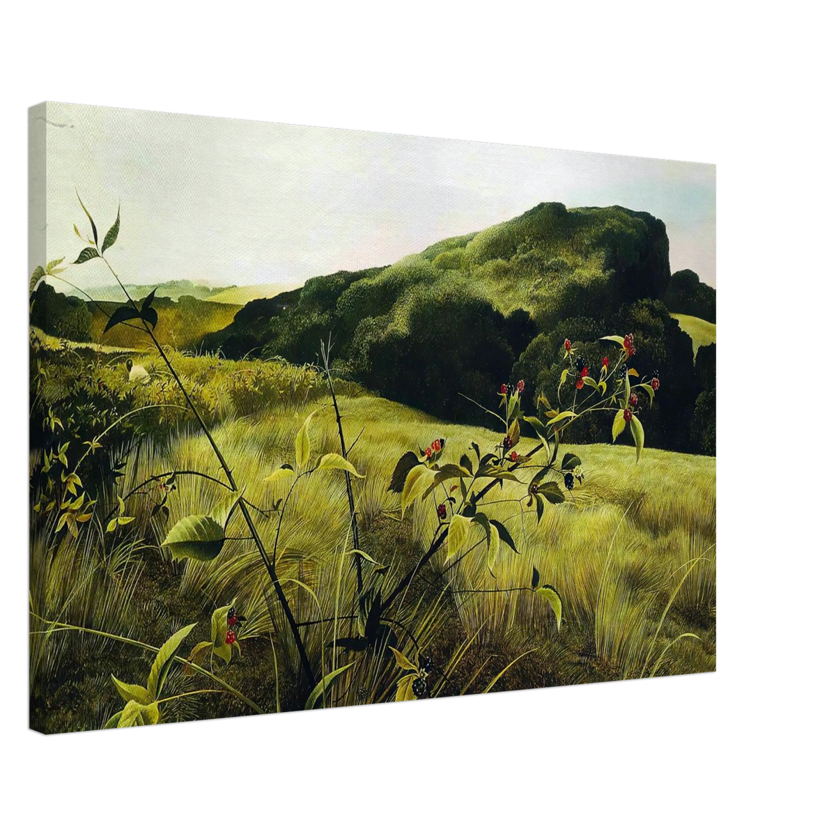 cda053ee-5943-4fe1-8d79-a408729d06d9